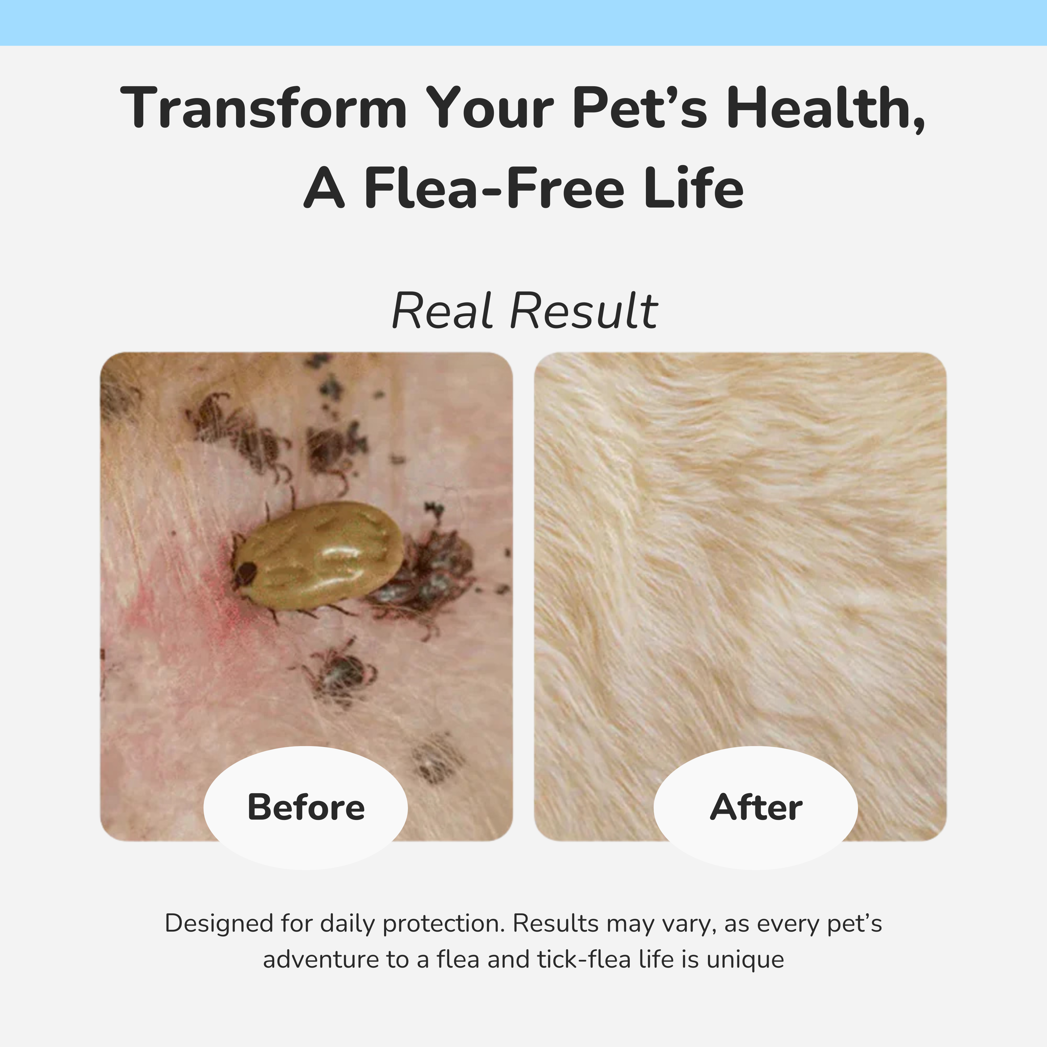 Flea & Tick Repellant Collar