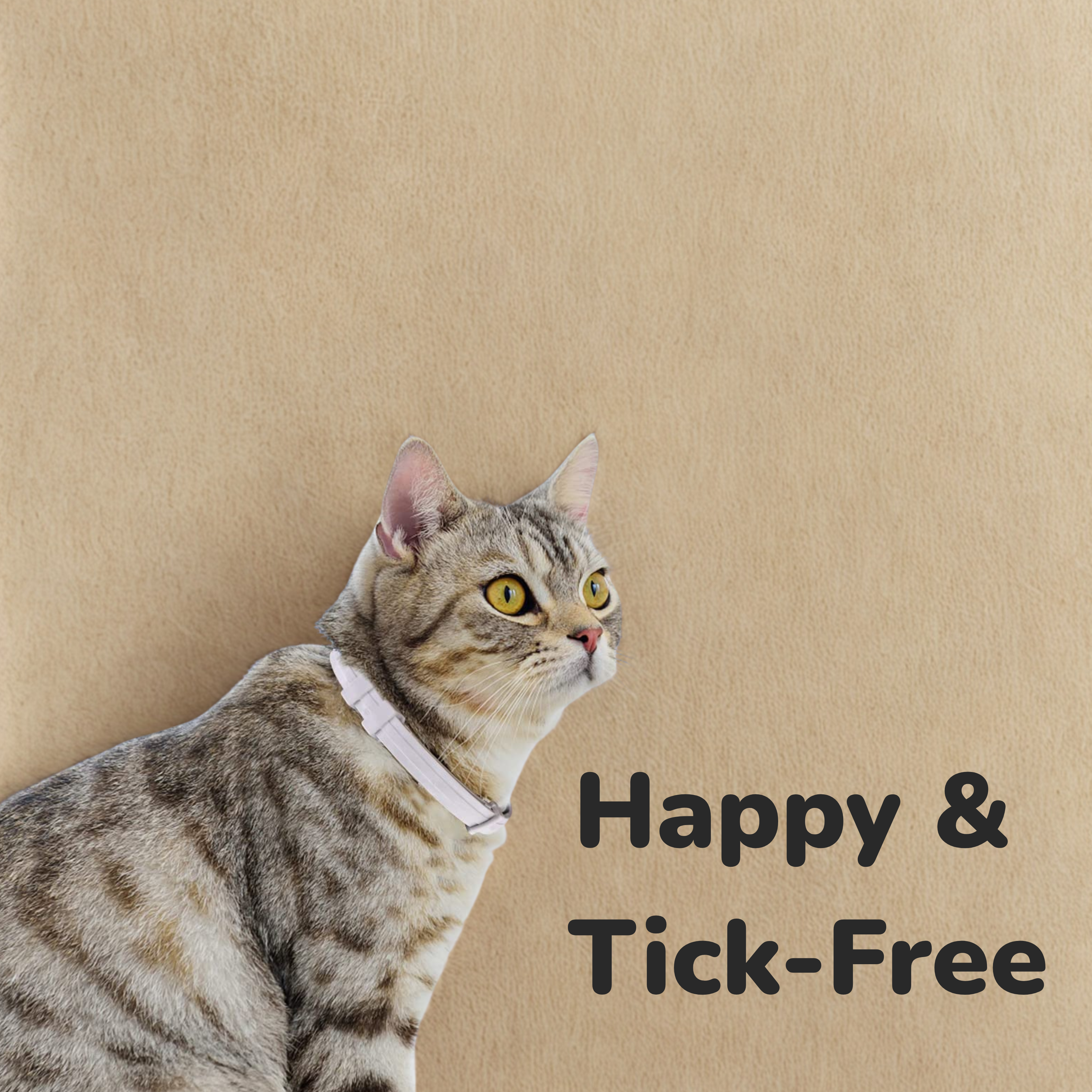 Flea & Tick Repellant Collar