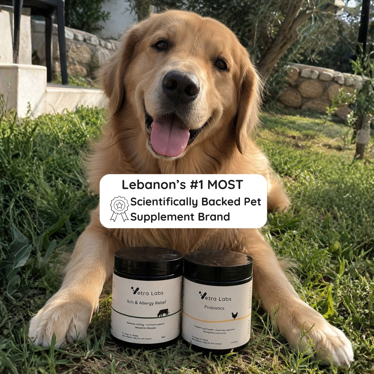 Vetra Labs™ - The Itch & Gut Relief Duo