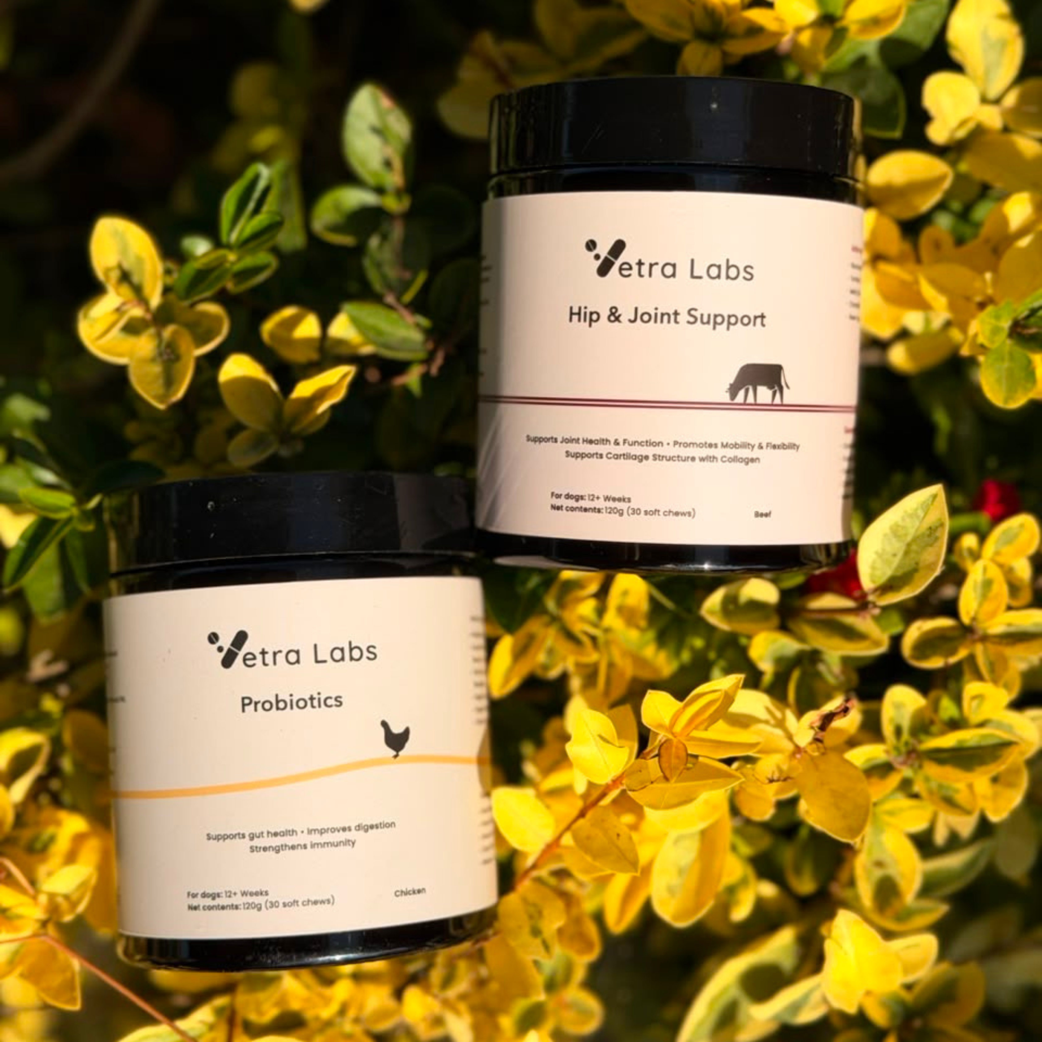 Vetra Labs™ - Active Life Bundle