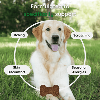 Vetra Labs™ Itch & Allergy Relief Chews
