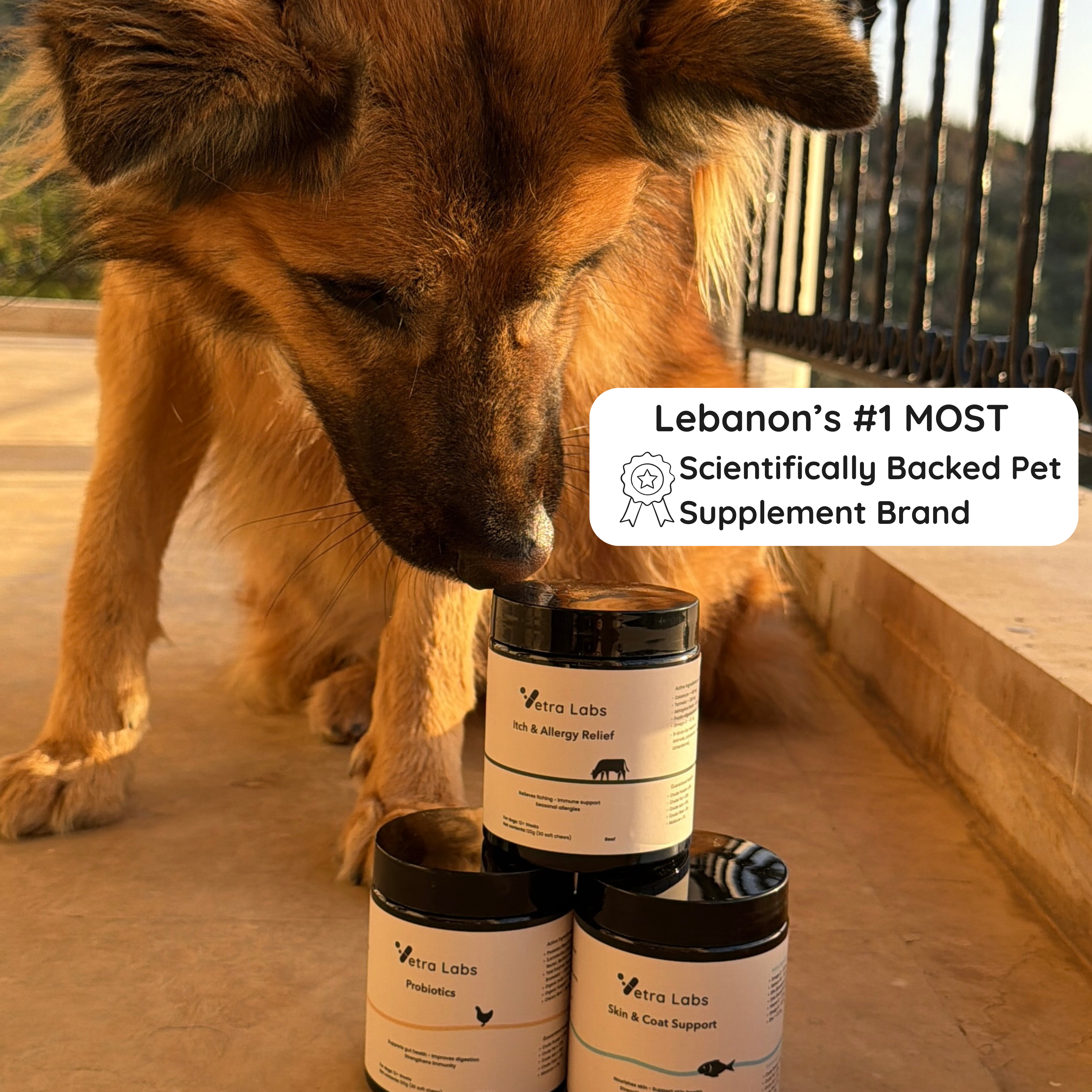 Vetra Labs™ - Complete Health Bundle