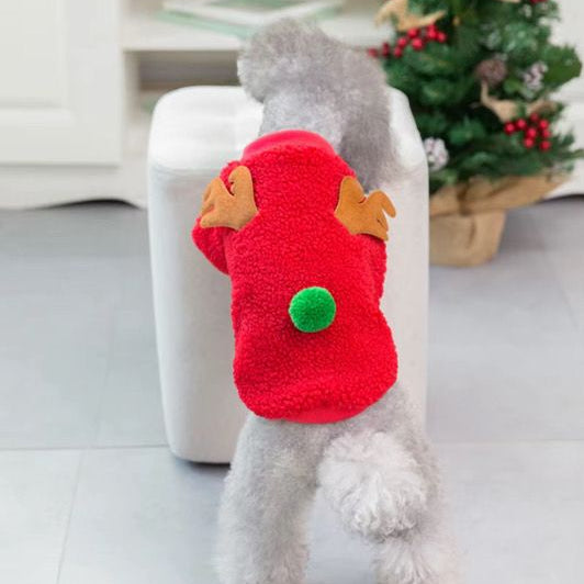 Christmas Sweater with Nose & Antlers